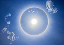 Circle round the sun, optical effect of high level ice crystals, around midday, Chobe NP, Botswana