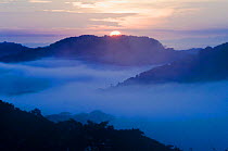 Sun rising behind a mist filled lowland rainforest valley, Soberiana NP, Panama.