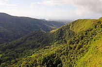 Rainforest with cleared patches, El Valle, Panama.
