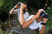 Toursits watching birds through binoculars from canopy walkway, foothill rainforest, El Valle, Panama.