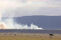 A controlled burn sweeps across the savanna, Maasai Mara Reserve, Kenya