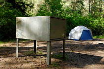 Bear box on camp site, Prairie Creek, Redwood State Park, California, USA. Campers must put all food, toiletries and other odorous products in bear resistant boxes