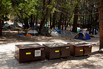 Bear boxes on camp site, Yosemite NP, California, USA. Campers must put all food, toiletries and other odorous products in bear resistant box