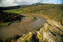 River Wye, meander at Longhope Reach, Gloucestershire, UK.