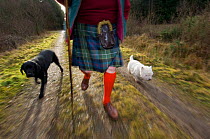 Scotsman wearing traditional kilt walking his dogs in a forest, UK.