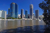 Downtown Brisbane viewed across Brisbane River, Queensland, Australia.