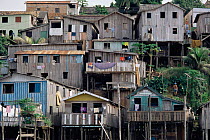 Cramped hillside terraced housing on stilts, Manaus, Brazil, South America