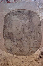 Detail of relief, Palenque ruins from Mayan civilisation, Mexico, Central America