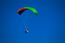 Paraglilding, South Island, New Zealand