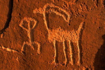 Indian petroglyphs, human figure and Bighorn sheep, San Juan river, Utah, USA