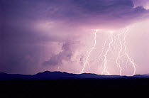 Lightning at night, Tucson, Arizona, USA