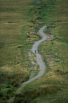 Hikers walking to Pen y Pan, Brecon Beacons NP, Powys, Wales, UK