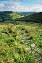 Man made path to prevent erosion, Brecon Beacons NP, Powys, Wales, UK