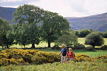 Hikers walking in Brecon Beacons NP, Libanus, Powys, Wales, UK