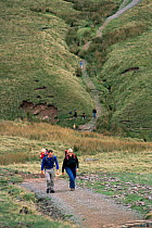 Hikers walking in Brecon Beacons NP, Pen Y Fan, Powys, Wales, UK