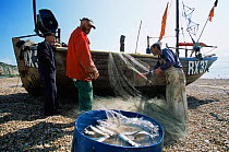 Fishermen working at an accredited Marine Stewardship Council mackerel fishery, Hastings, UK