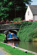 Canal boat passing under Brynich Bridge on the Taff trial, Brecon Beacons NP, Powys, Wales, UK