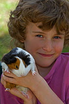 Boy holding pet Guinea Pig {Cavia porcellus} USA
