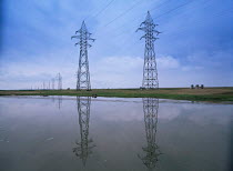 Pylons and power lines along the Bratu Salina, Danube Delta, Romania