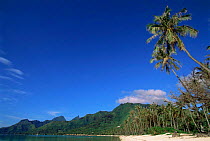 Tropical beach with stilted huts of Hotel Sofitel Ia Ora in background, Moorea, Society Islands, French Polynesia