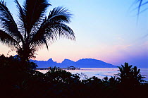 Moorea at sunrise, viewed from Tahiti, Society Islands, French Polynesia