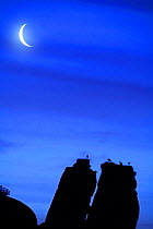 Silhouette of rocks at night with crescent moon, Barruecos, natural monument, Malpartida de Caceres, Extremadura, Spain. 2006  