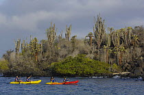 ea Kayaking from Finch Bay Hotel, Santa Cruz Island Galapagos  2006