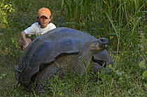 Child watching Galapagos Giant Tortoise(Geochelone elephantophus porteri) Highlands, Santa Cruz Is, Galapagos 2006