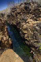 'Las Grietas', Puerto Ayora, Santa Cruz Is, Galapagos. A natural lava fissure into which filters a mix of freshwater and sea water.  2006