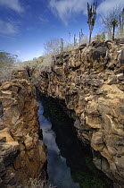 'Las Grietas', Puerto Ayora, Santa Cruz Is, Galapagos. A natural lava fissure into which filters a mix of freshwater and sea water. 2006