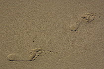 Human footprints in the sand. Cerro Brujo, San Cristobal Island. GALAPAGOS