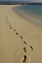 Human footprints in the sand. Cerro Brujo, San Cristóbal Island. GALAPAGOS
