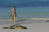 Woman tourist coming out of sea and Galapagos sealion on beach (Zalophus californianus wollebaeki) Gardner Bay, Española / Hood Is, Galapagos  2006