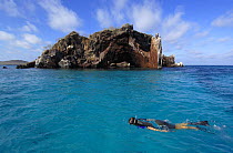 Person Snorkeling in sea off Tortuga / Turtle Is, Galapagos  2006