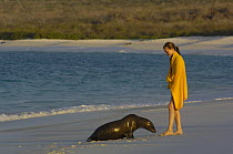 Galapagos sealion (Zalophus californianus wollebaeki) and tourist on beach, Española / Hood Is, Galapagos  2006