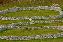 Stone brick walls, Saint / St Kilda Island. Western Islands, Outer Hebrides, Scotland.