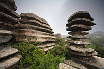 Eroded Limestone rocks in Torcal de Antequera NP, Antequera, Malaga, Spain, Europe