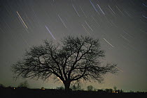 Star trails, 20 minutes exposure time, Pusztaszer, Hungary
