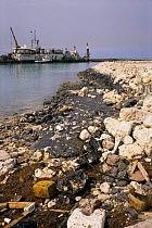 Oil pollution on rocky shore from the Iran/Iraq War, 1980-1988, Bahrian