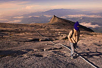 Climber following rope along summit plateau with view of South Peak behind. Mt Kinabalu, Sabah, Borneo, Malaysia.
