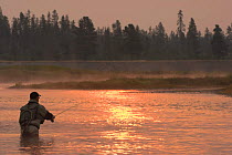 Fisherman fishing at sunrise in the Upper Madison River, Yellowstone NP, Wyoming, USA, September 2006