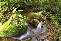 Rainforest stream running through mid-altitude montane forest, Ranomafana NP, south east Madagascar.