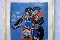 Chimpanzee painting, Animals in African art, Virunga N P,  Dem Rep Congo