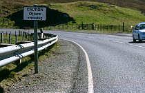 Otter crossing warning road sign, Shetland Isles, Scotland, UK