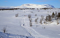 Cross-country skiing, Lia, Norway.