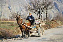 Man with working horse {Equus caballus} pulling cart, Kapadokia, Turkey.