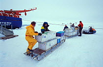 Researcher loading a sled for analysis on the ice floe. ISPOL (ICE Station Polarstern) Expedition 2004/2005 from Alfred Wegener Institute, Bremerhaven, Germany. The Icebreaker Polarstern was drifting...