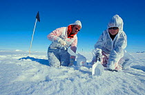 Researchers collecting snow crystals on ice floe. Overalls prevent contamination of the ice. (ISPOL (ICE Station Polarstern) Expedition 2004/2005 from Alfred Wegener Institute, Bremerhaven, Germany. T...