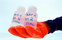 Samples from sediment trap. ISPOL (ICE Station Polarstern) Expedition 2004/2005 from Alfred Wegener Institute, Bremerhaven, Germany. The Icebreaker Polarstern was drifting for five weeks with an ice f...