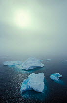 Icebergs in fog, Weddell Sea, Antarctica